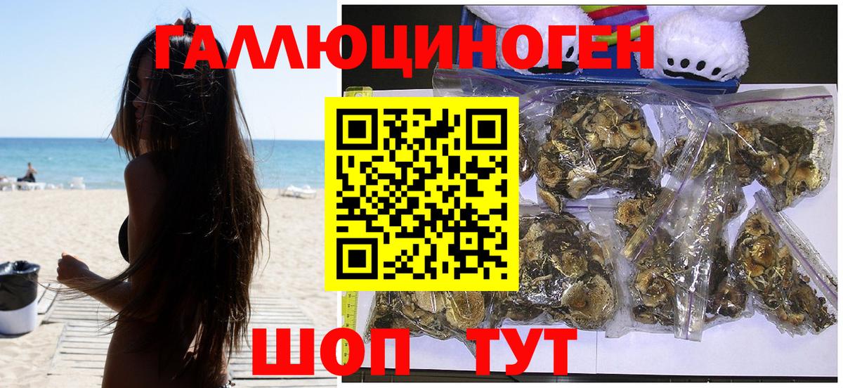 Галлюциногенные грибы Magic Shrooms Кашира
